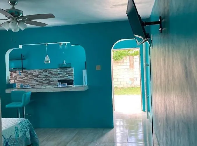 Yanceylargo Estate - Newly Built Modern 1 Bedroom Villa *