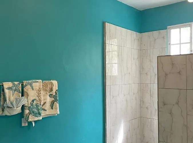 Yanceylargo Estate - Newly Built Modern 1 Bedroom Villa Montego Bay