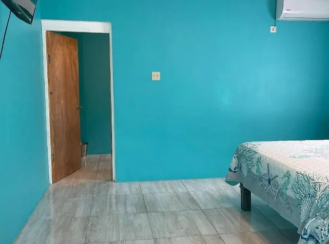 Yanceylargo Estate - Newly Built Modern 1 Bedroom Villa Montego Bay