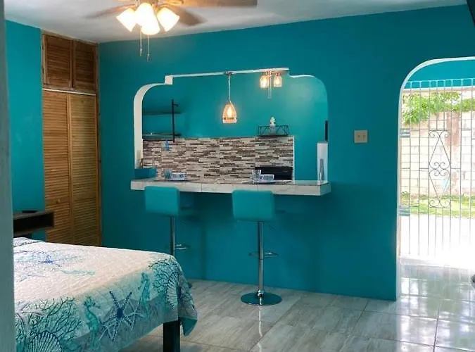 Yanceylargo Estate - Newly Built Modern 1 Bedroom Villa *
